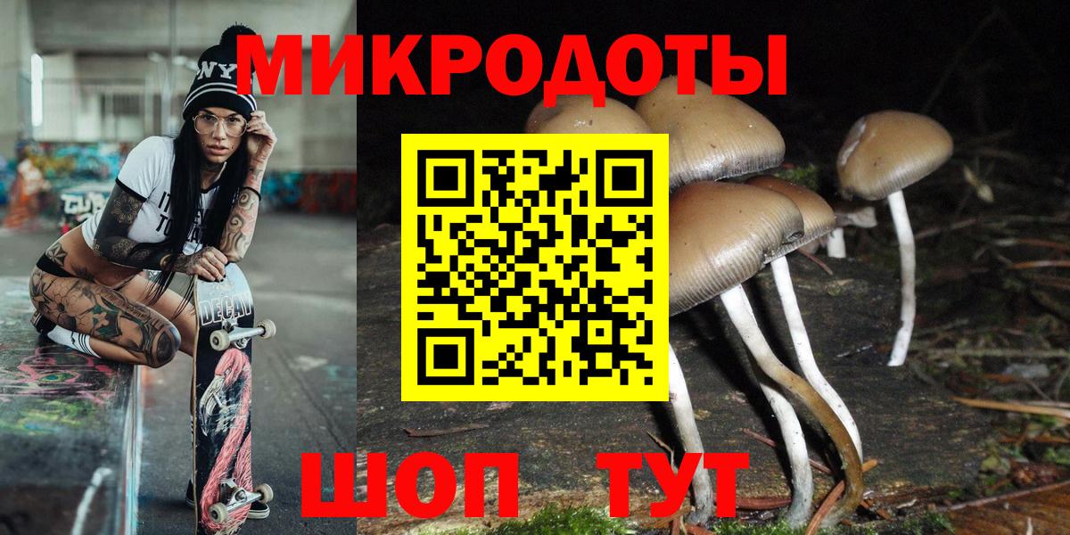 Псилоцибиновые грибы Cubensis Советск