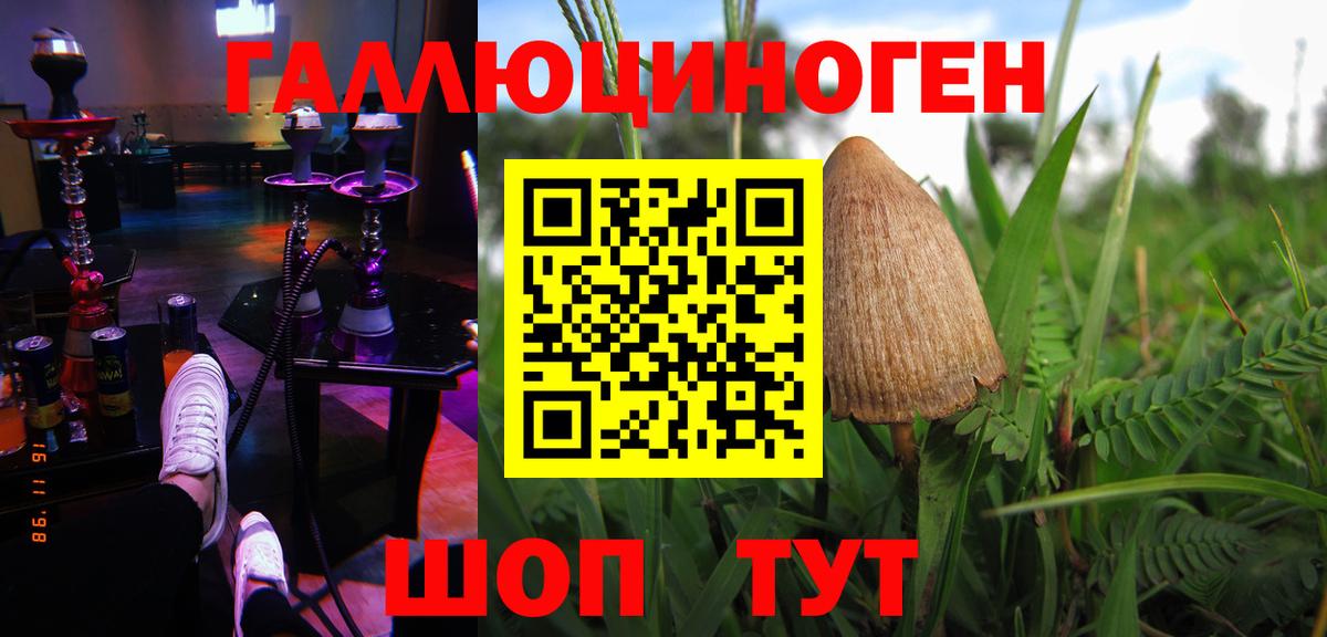 Псилоцибиновые грибы GOLDEN TEACHER  Псилоцибиновые грибы мухоморы  Вход с VPN  Советск 